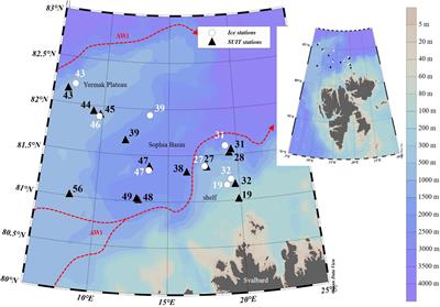 Sympagic Fauna in and Under Arctic Pack Ice in the Annual Sea-Ice System of the New Arctic